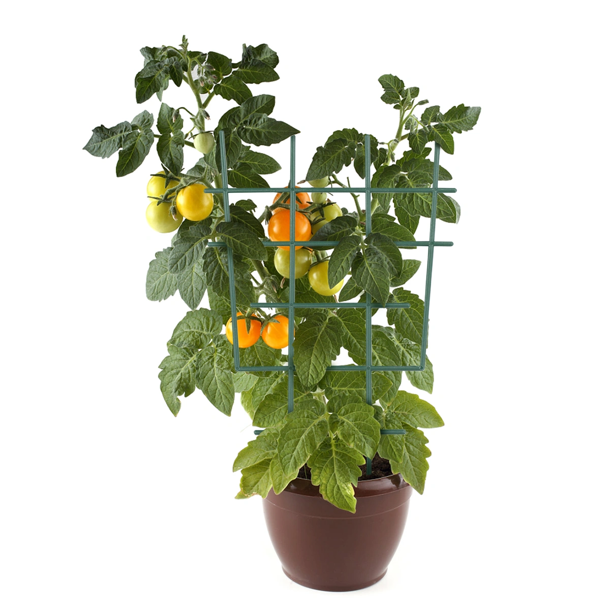 4Pcs Practical Plastic Potted Plants Trellis Vine Trellis Support Trellis Plant Climbing Rack