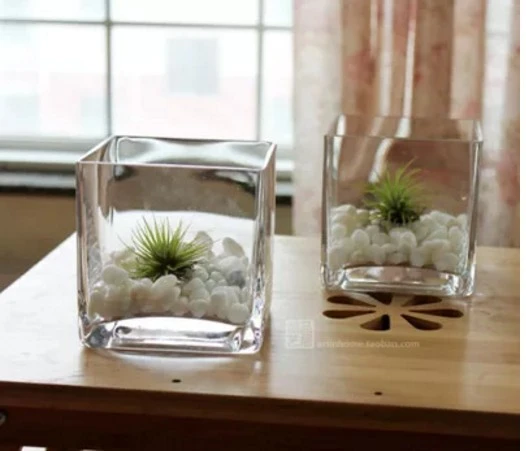 Glass Flower Vase Modern Style Glass Flower Cube Vase Desktop Succulent Pots Vase