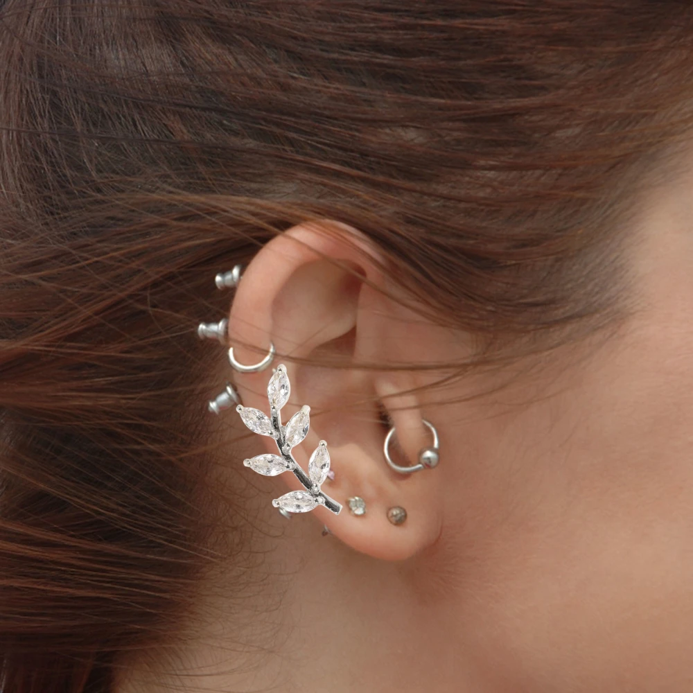 1 Pair Leaf Earrings Zircon Earrings Stud Earrings Trendy Earrings Decorative Earrings