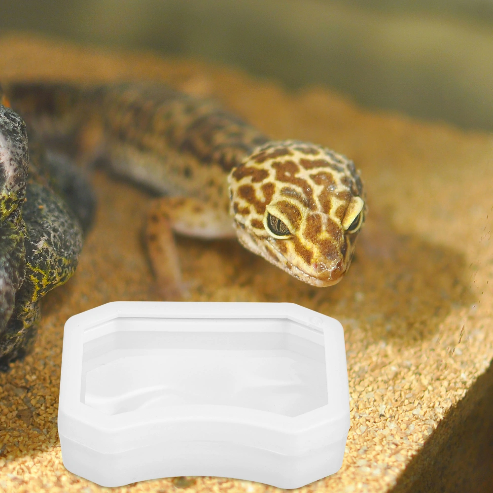 2Pcs Reptile Feeder Cup Feeding Dish Escape Proof Bowl with 2 Water Dish for Lizard Bearded Dragon Gecko