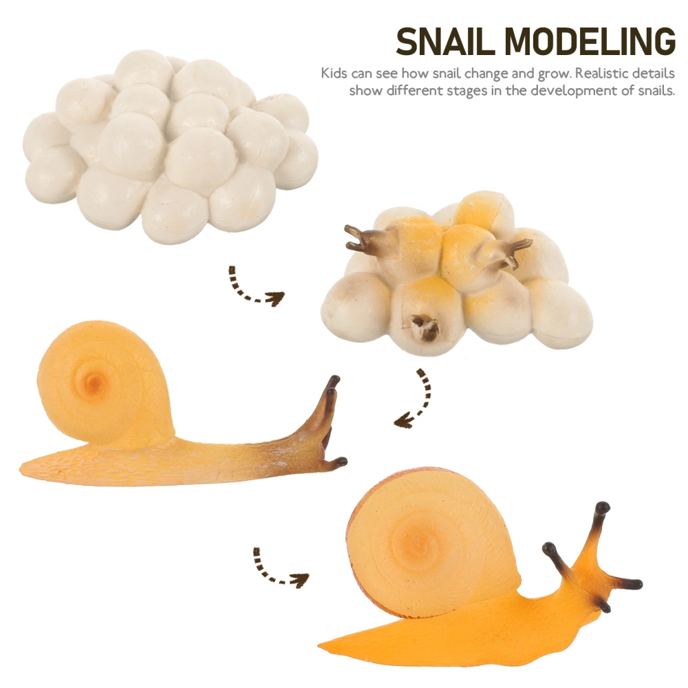 2 Sets Snail Growth Model Snail Growing Cycle Toys Snail Educational Models Cartoon Snail Models