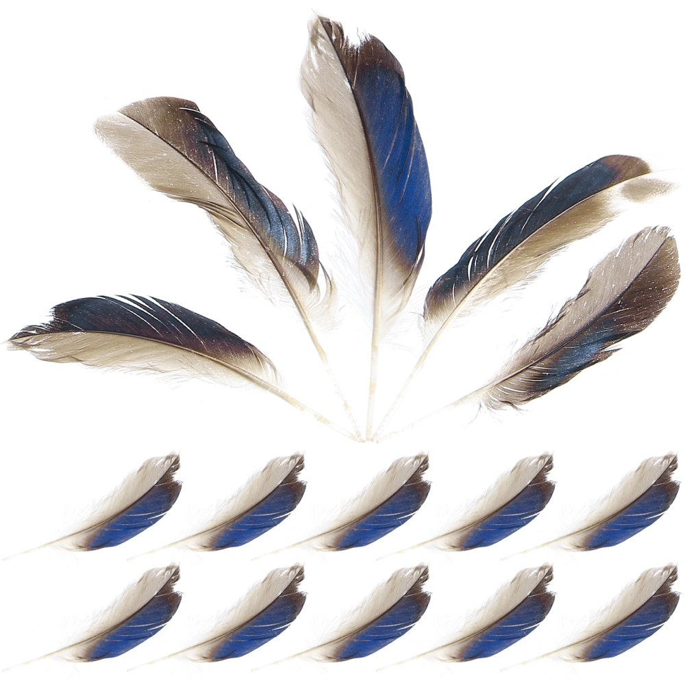 100Pcs Crafts Natural Duck Plumage Natural Duck Plumes Plumage Dream Catcher Making Supplies