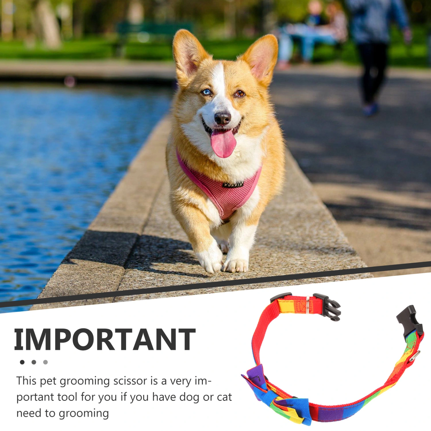 Small Dog Collar Rainbow Pet Collar Adjustable Pet Dog Collar Pet Fabric Collar Decor