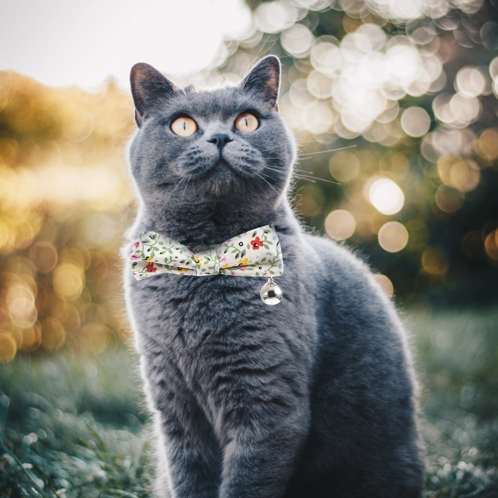 Cute Bow Tie Cat Collar with Bell Adjustable Cat Collar Cute Cat Collar with Bell Dog Collar