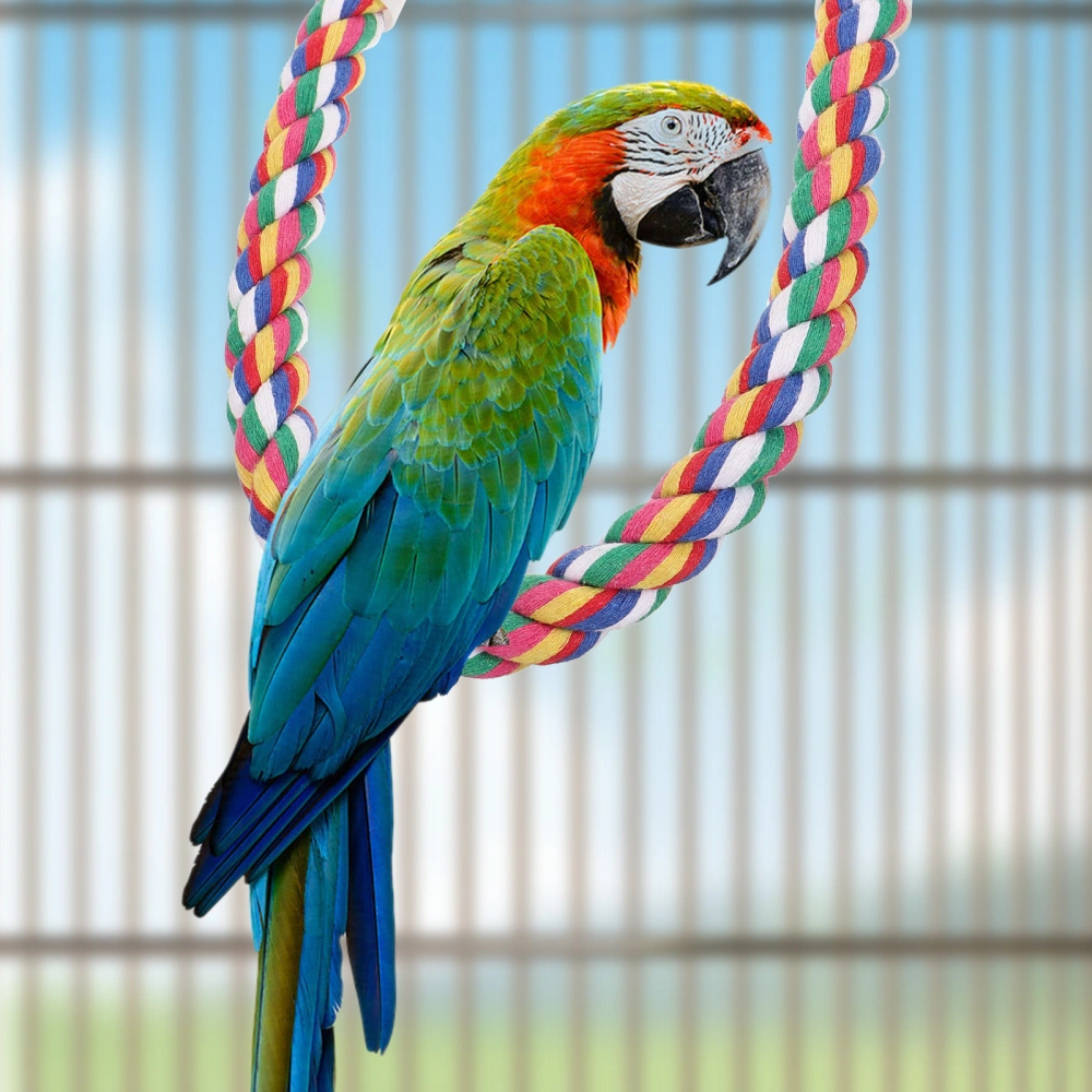 Household Bird Toy Wear-resistant Parrot Toy Interesting Parakeet Toy Decor Parrot Supply