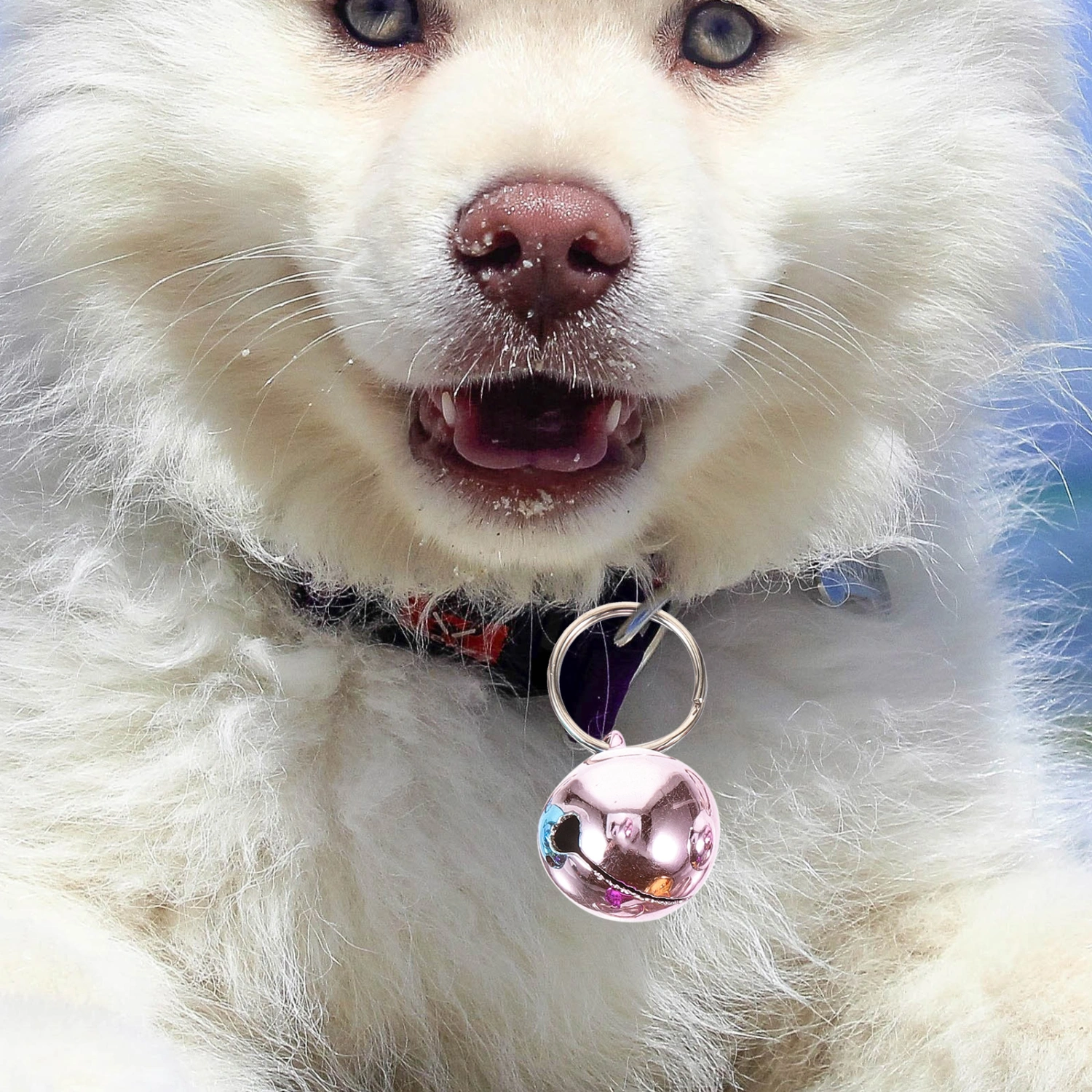 6pcs Pet Dog Collar Bell Pendant Small Stainless Steel Bells Pet Cat Collar Hanging Bells