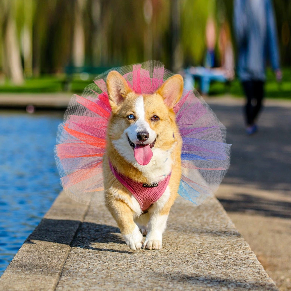 Rainbow Dog Tutu Dress Dog Costume Colorful Dog Tutu Skirt Pet Dog Clothes Puppy Collar