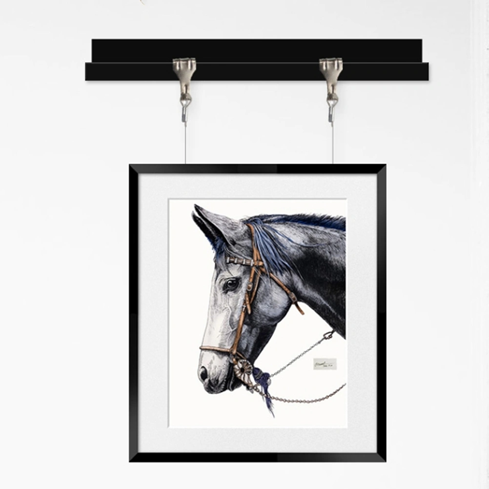 4 Sets of Picture Frame Hanger Heavy Duty Photo Hanging Cord Hanging Photo Frame with Hook