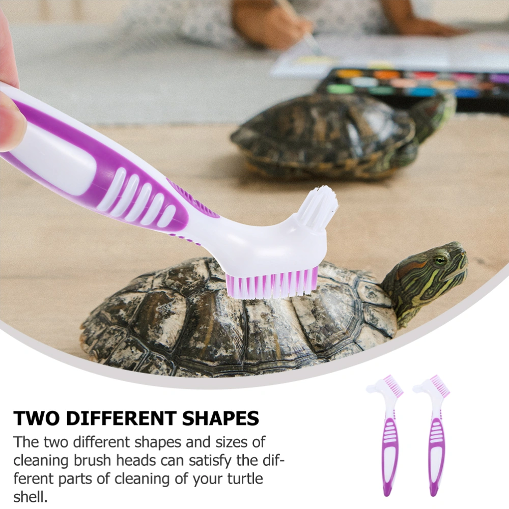 2pcs Aquatic Turtle Cleaning Brush Tortoise Shell Mud Clean Brush Turtle Shell Cleaning Tool