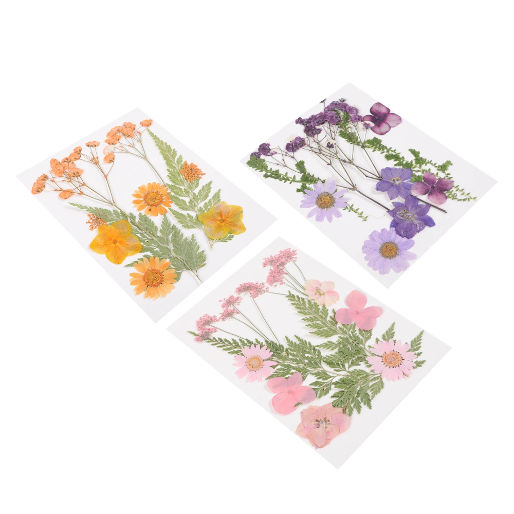 3 Set DIY Dried Flowers Epoxy Crafts Making Dried Flowers Candle Making Dried Flowers