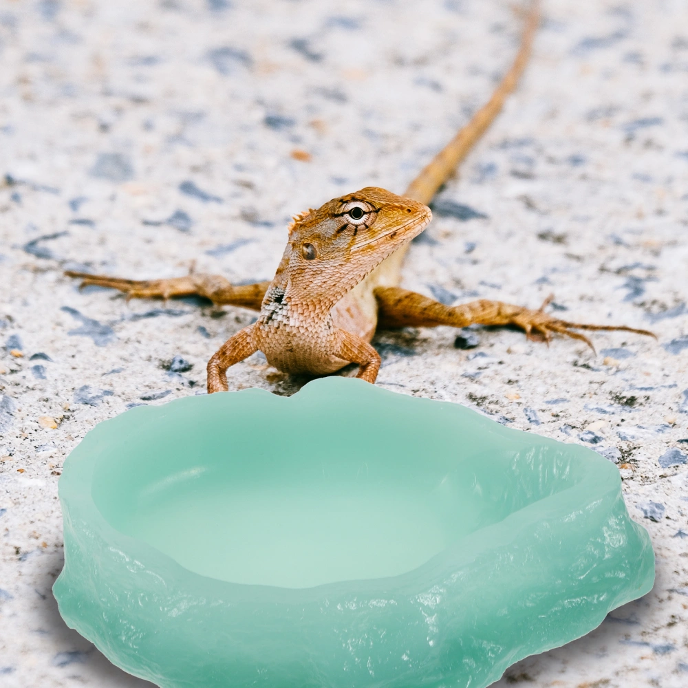 Luminous Reptile Water Dish Glow in Dark Food Bowl Reptile Feed Dish Tortoise Food Dish