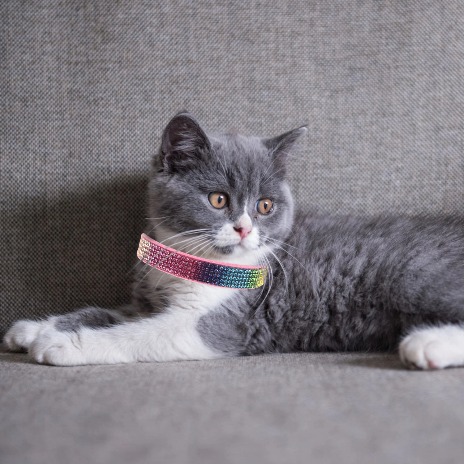 Sparkling Rhinestone Pet Collar Cute Cat Collar Skin-friendly Adjustable Puppy Collar