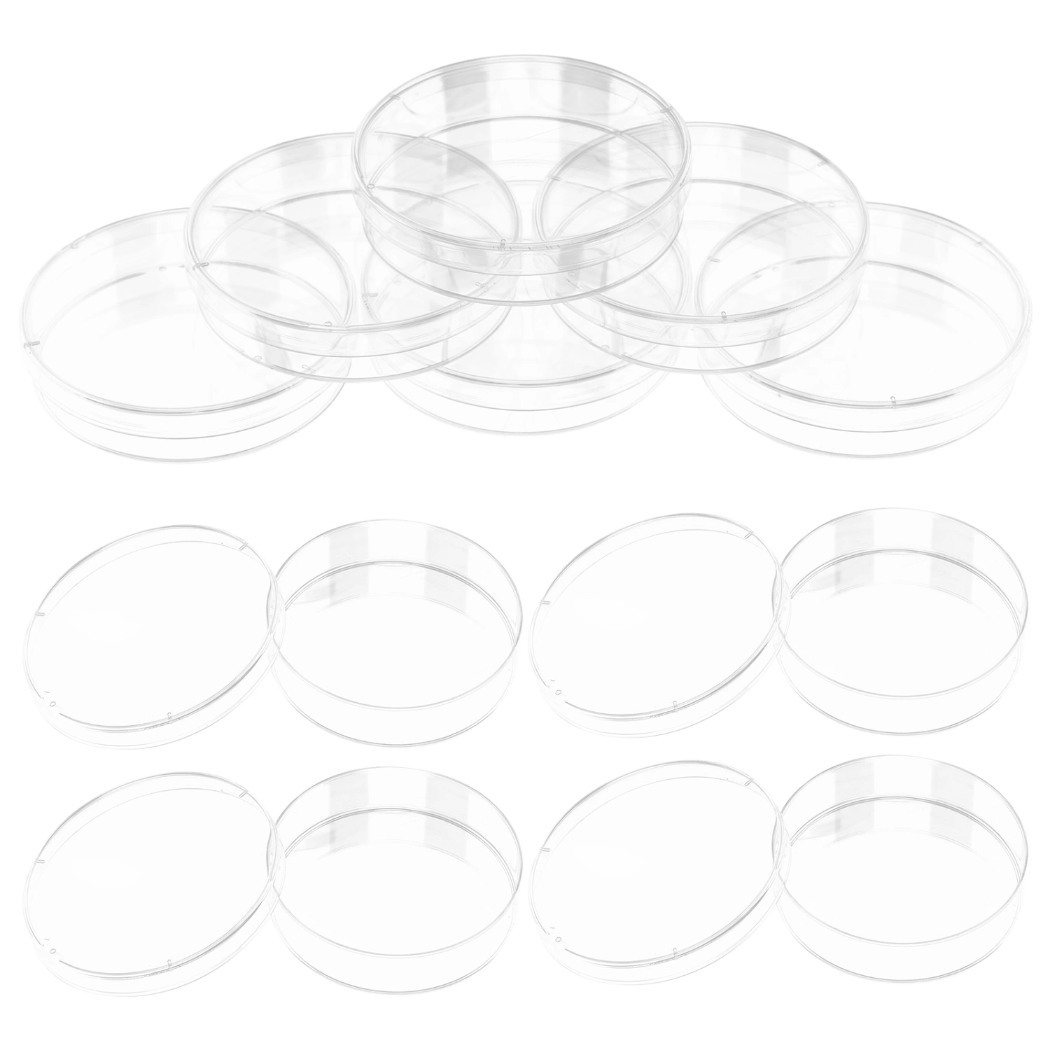 10pcs Plastic Petri Dish with Lid Tissue Culture Plate Science Experiment Supplies