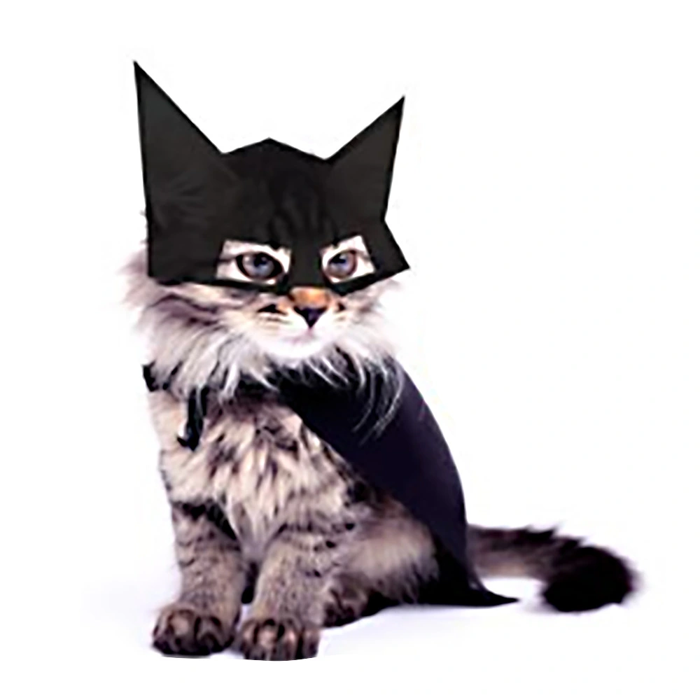 Bat Shaped Pet Headwear Creative Cartoon Pet Hat Lightweight Plush Pet Cap for Small Cat Dog