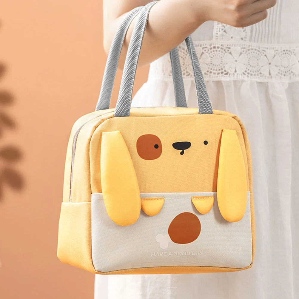 Lunch Bag Insulated Lunch Bag Reusable Lunch Cooler Bag Lunch Tote Bag for School Office