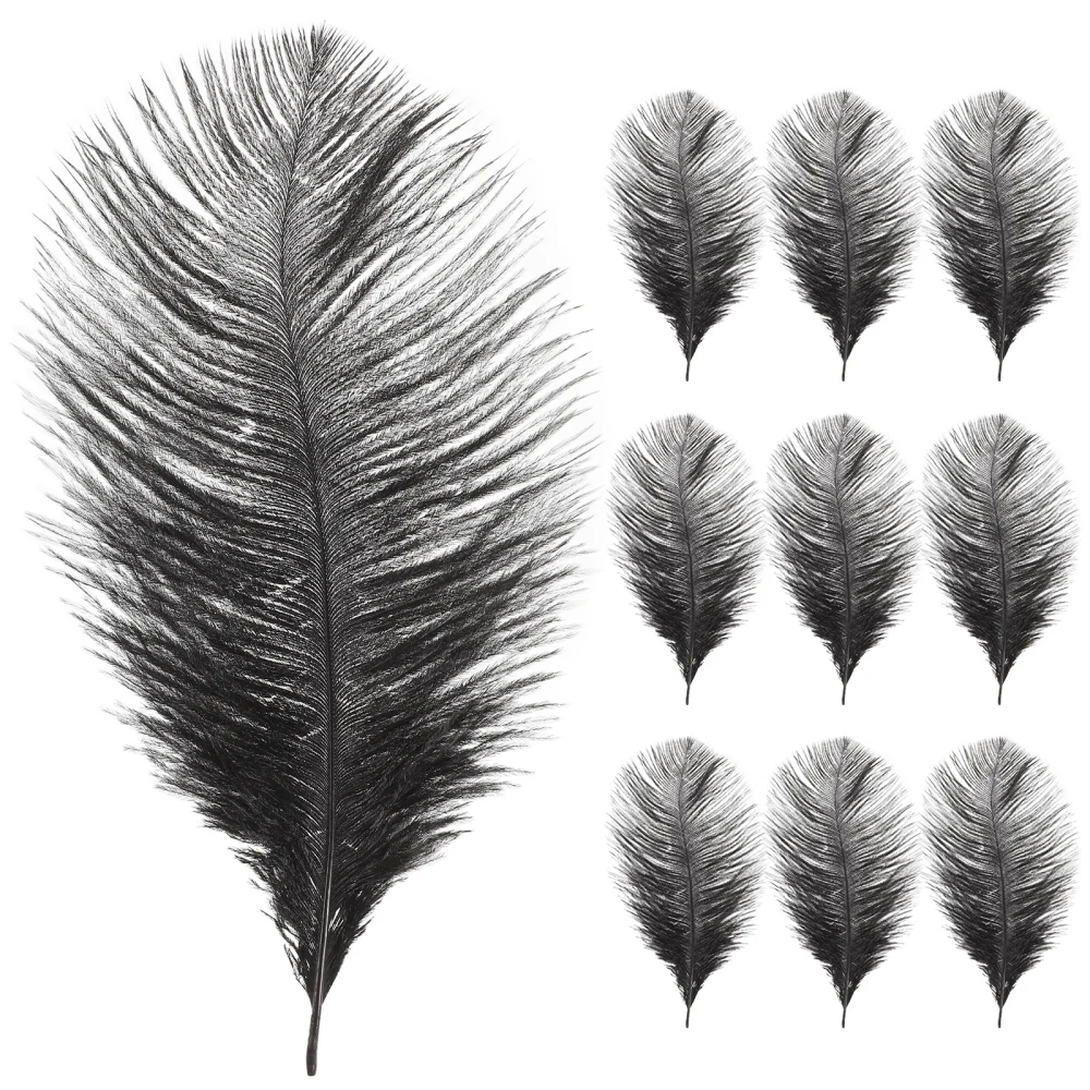 10Pcs Craft Ostrich Plumes Natural DIY Ostrich Plumes for Home Craft Making Material