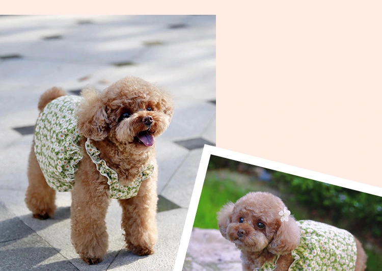Pet Cat Dog Skirt Floral Printing Skirt Dog Dresses Cat Skirt Pet Clothes