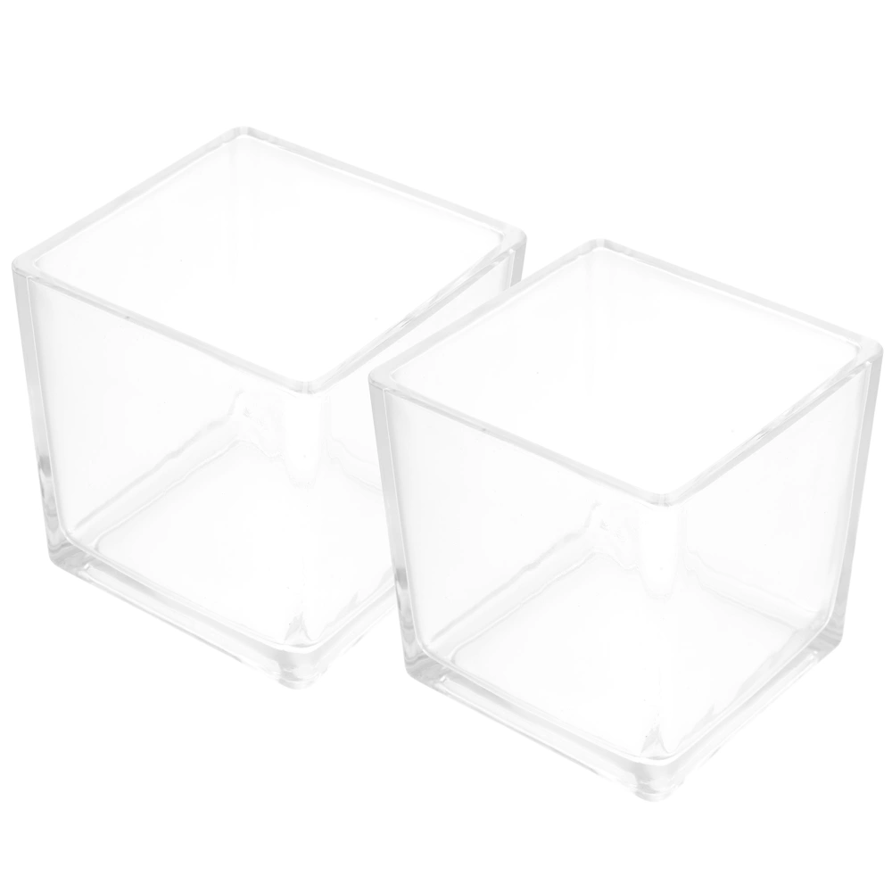 2pcs Clear Cube Flower Vase Hydroponic Glass Vases for Table Centerpiece