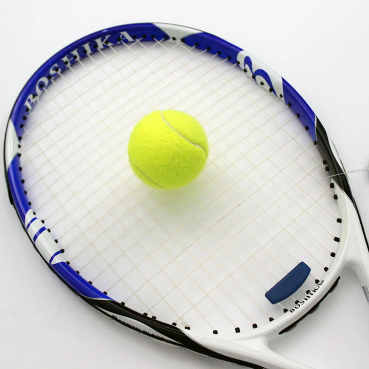 3Pcs Training Tennis Professional Tennis Ball Learning Training Ball Practice Ball for Self Training