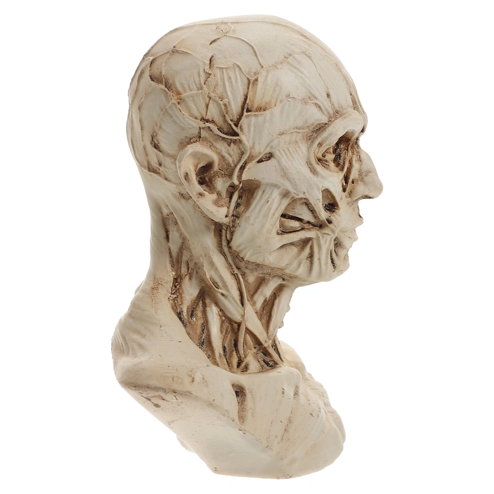 Sketch Figurine Human Model Anatomy Skull Head Muscle Statue Sketch Model Painting Model