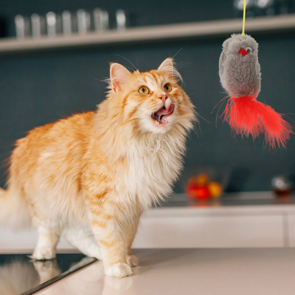 Hanging Cat Toy Interactive Cat Toys Indoor Cats Self-Playing Toy Independent Cat Mouse Toy