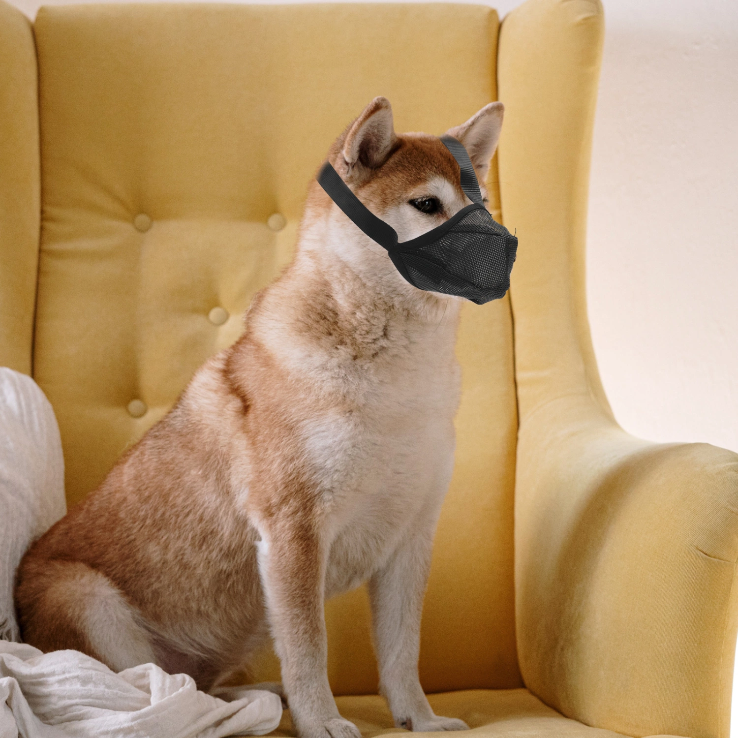 Pet Dog Muzzle No Biting No Barking Pet Dog Muzzle Mild Material Breathable Pet Dog Muzzle