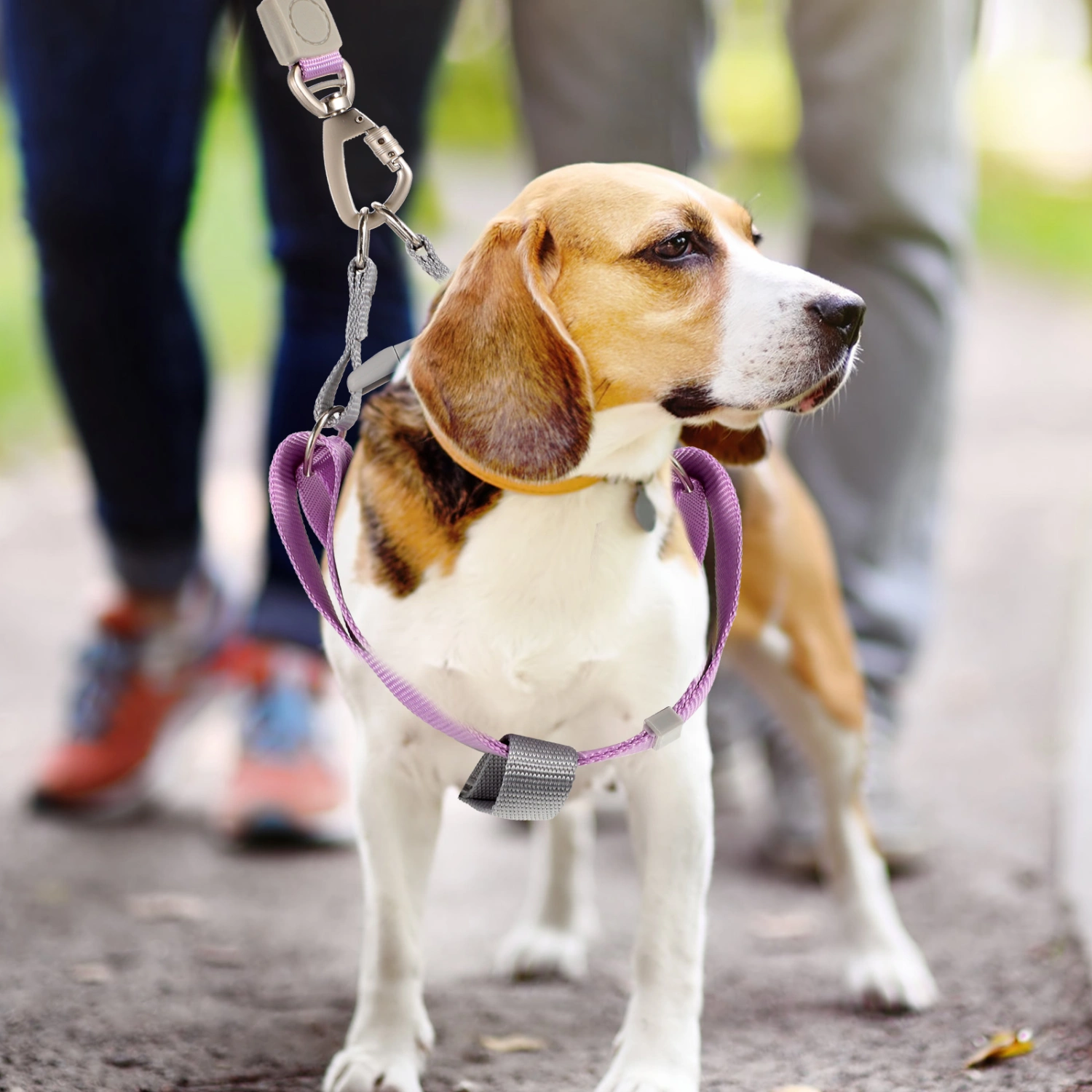 1 Set of Dog Harness and Leash Dog Leash Dog Harness Adjustable Dog Leash and Harness Set for Puppy