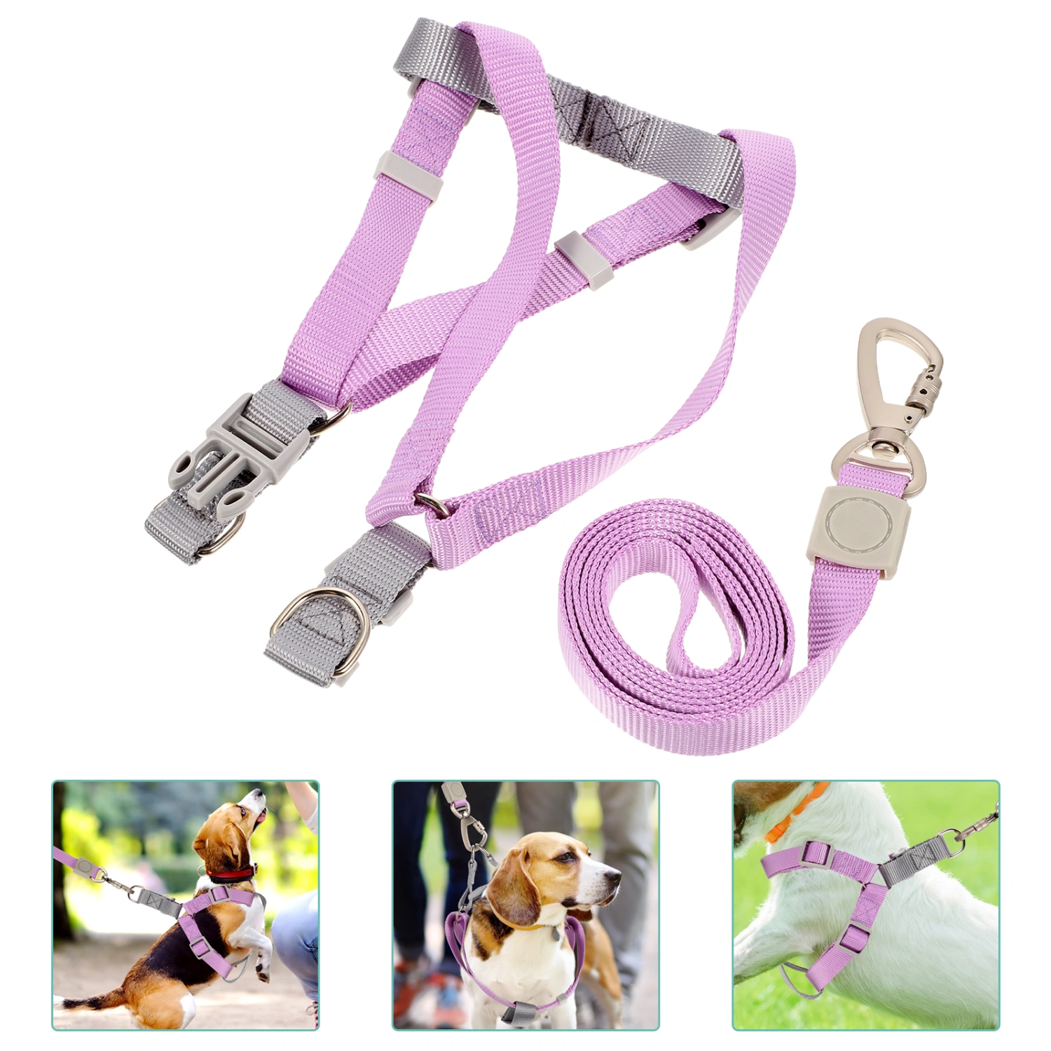 1 Set of Dog Harness and Leash Dog Leash Dog Harness Adjustable Dog Leash and Harness Set for Puppy