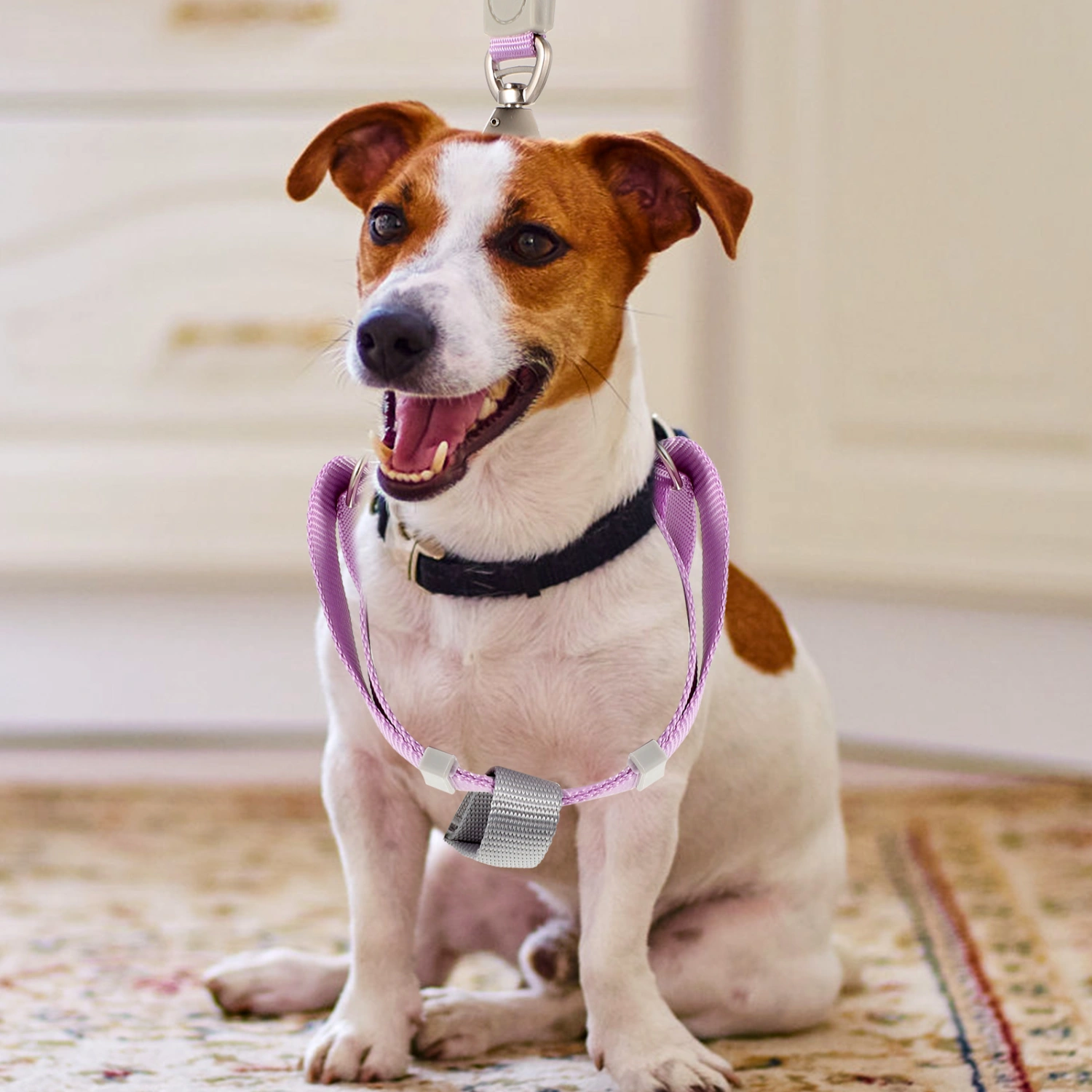 1 Set of Dog Harness and Leash Dog Leash Dog Harness Adjustable Dog Leash and Harness Set for Puppy