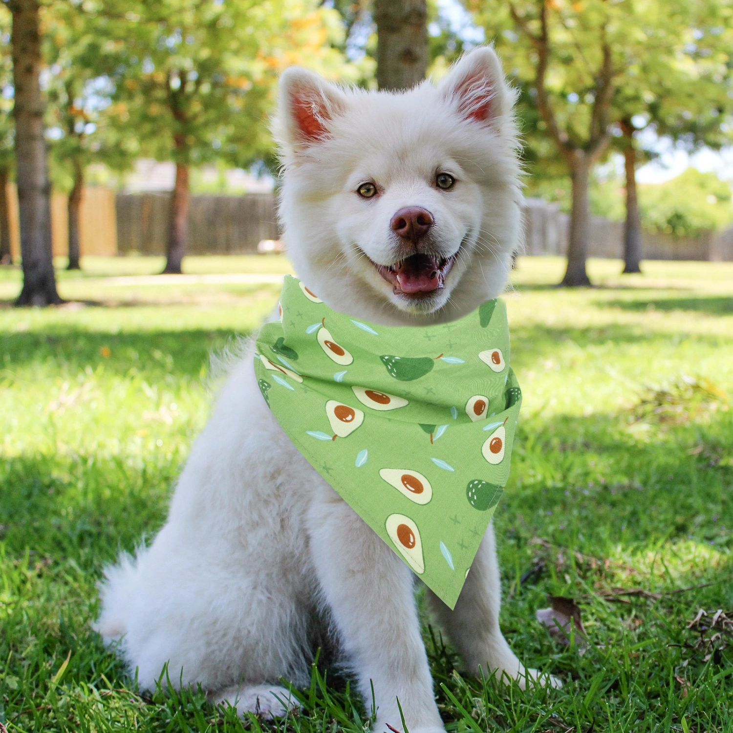 Summer Dog Bandana Fruit Print Puppy Scarf Dog Kerchief Pet Triangle Bib Scarf
