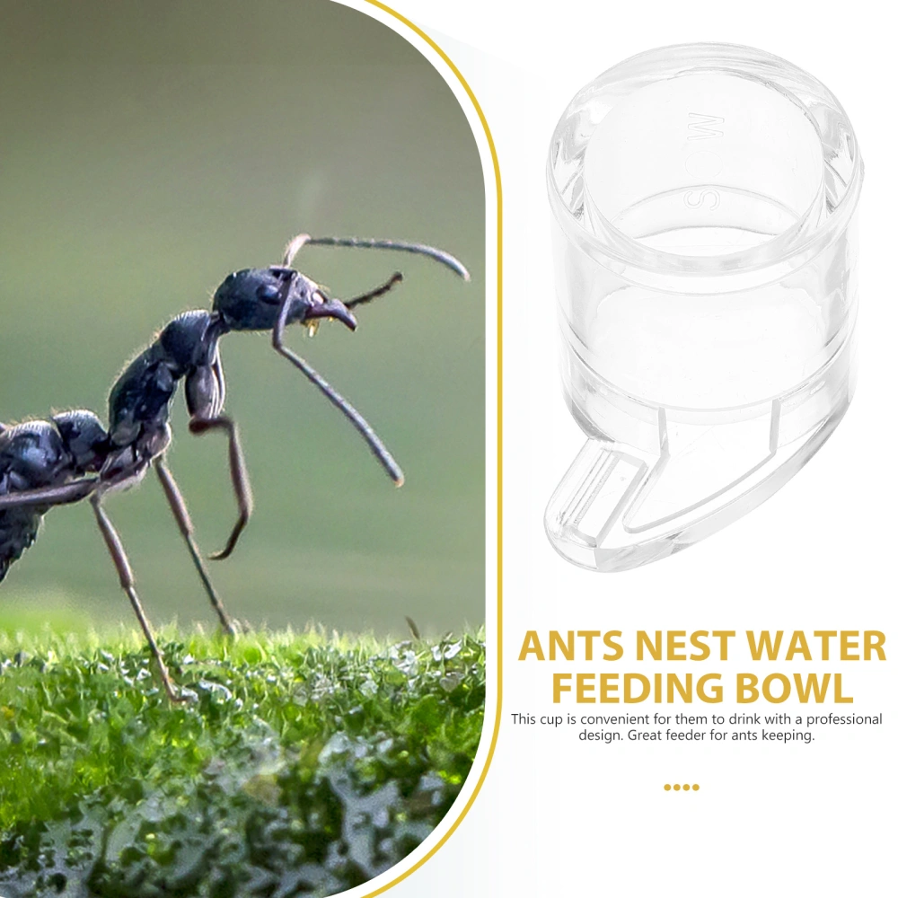 Ants Feeding Cup Acrylic Ants Water Feeders Ants Nest Water Feeding Bowl