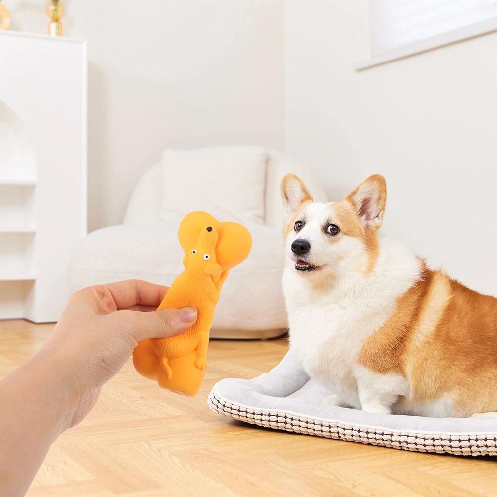 2pcs Dog Squeaky Toys Puppy Toys Bite-resistant Dog Toys Interactive Squeaky Toy