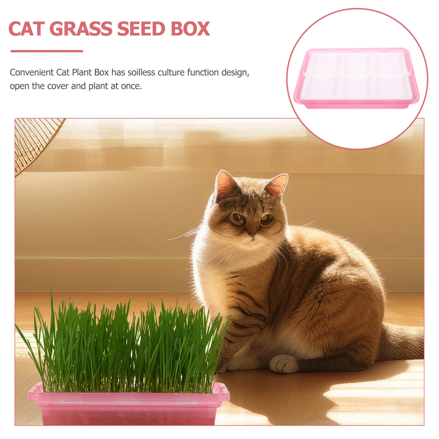 Household Cat Grass Planter Catnip Grass Planter Convenient Hydroponic Cat Grass Box