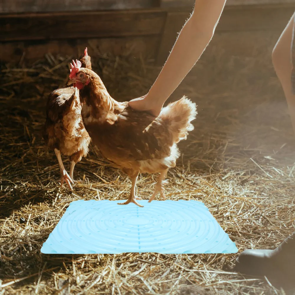 Chicken Bedding Liner Chicken Coop Nesting Pad Nesting Box Pad Chicken Accessory