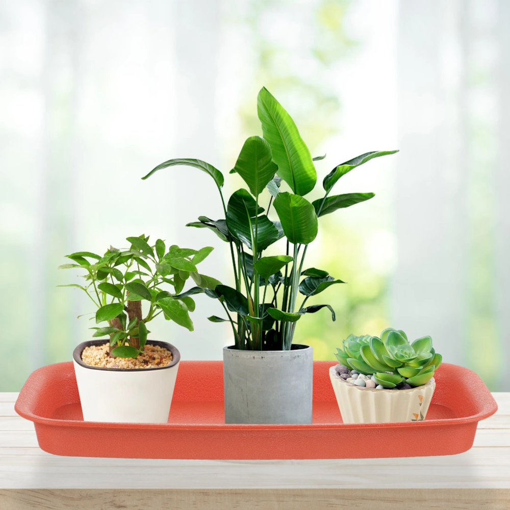 4Pcs Rectangular Plant Saucers Plastic Plant Saucers Planter Drip Tray Flower Pot Saucers