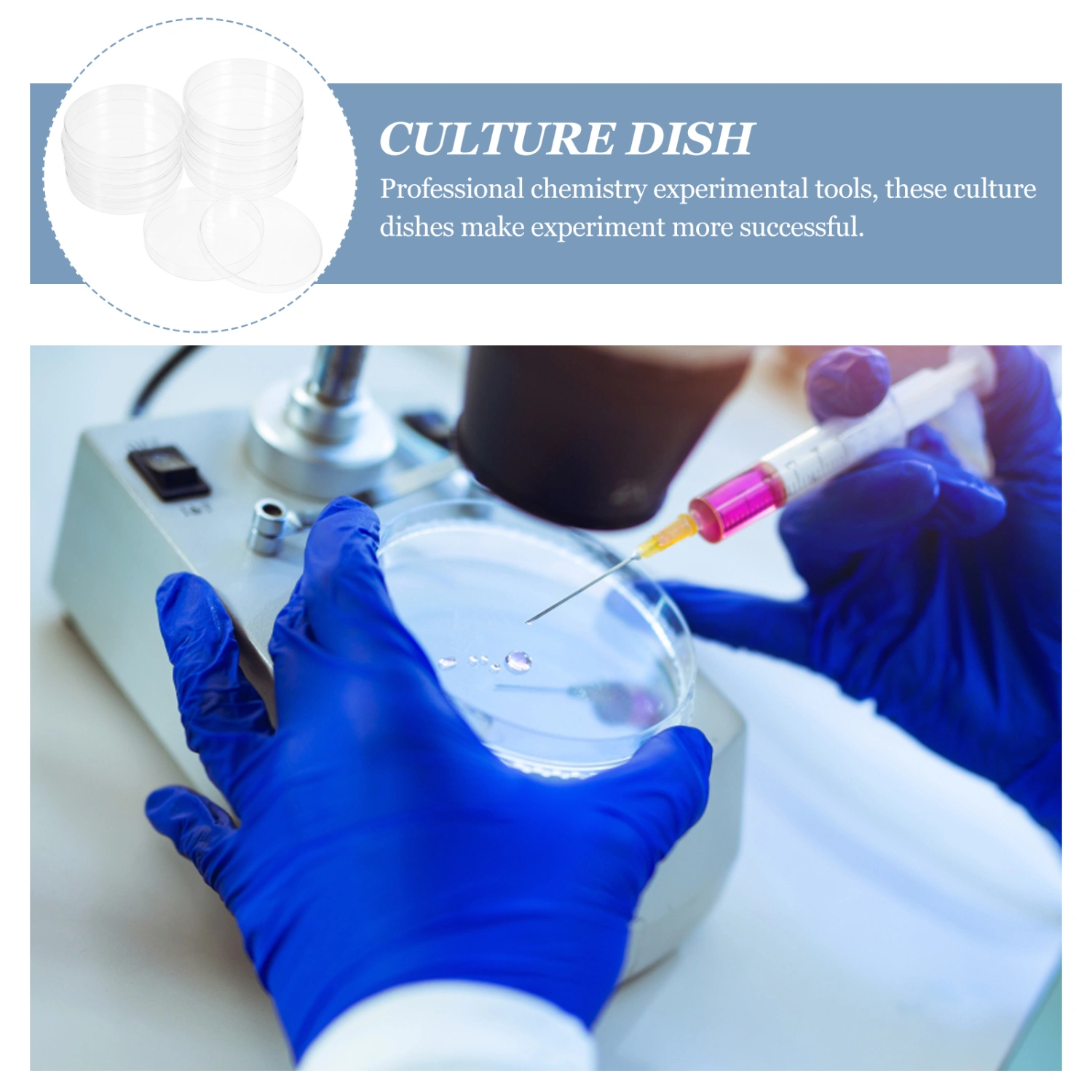 10Pcs Culture Dish Clear Culture Plates Culture Tray Culture Holder Laboratory Culture Dishes