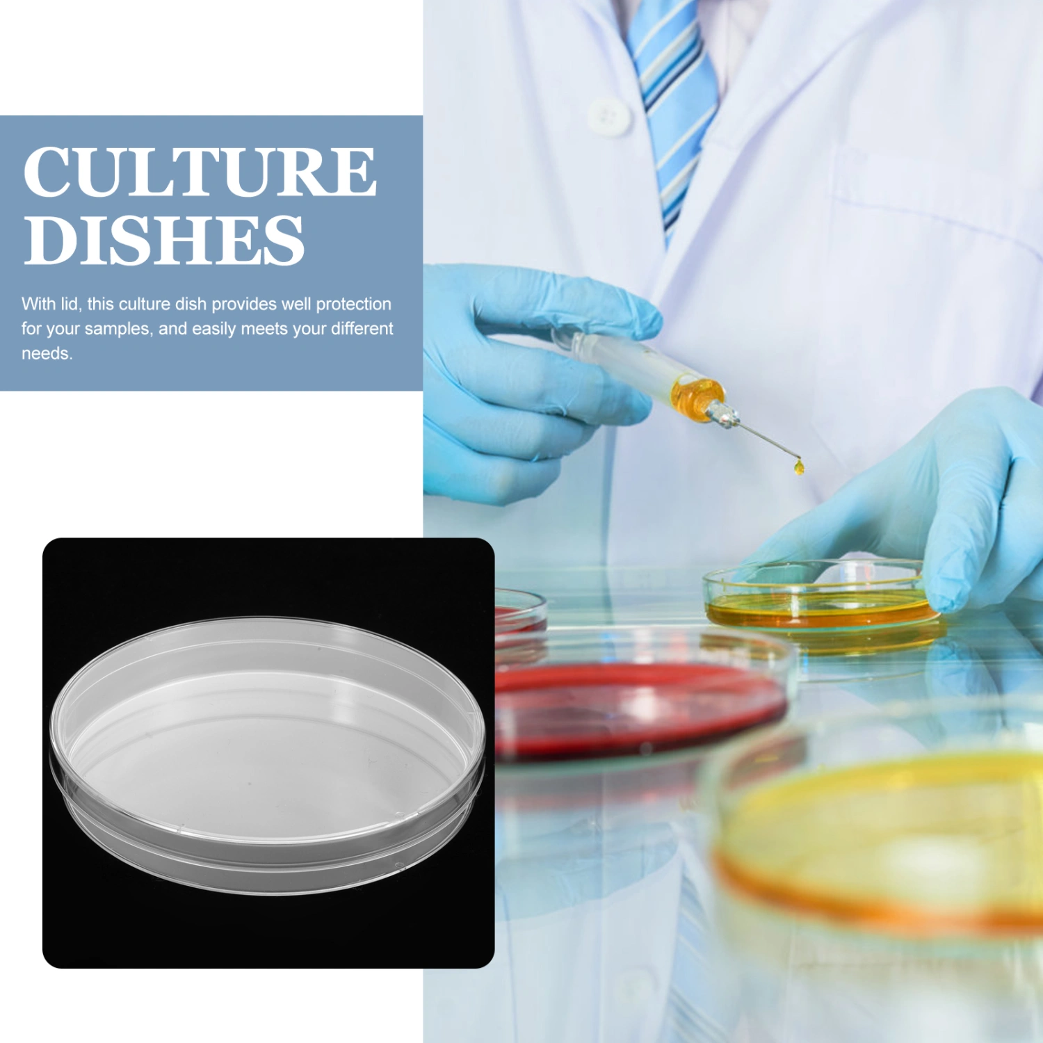 10Pcs Culture Dish Clear Culture Plates Culture Tray Culture Holder Laboratory Culture Dishes