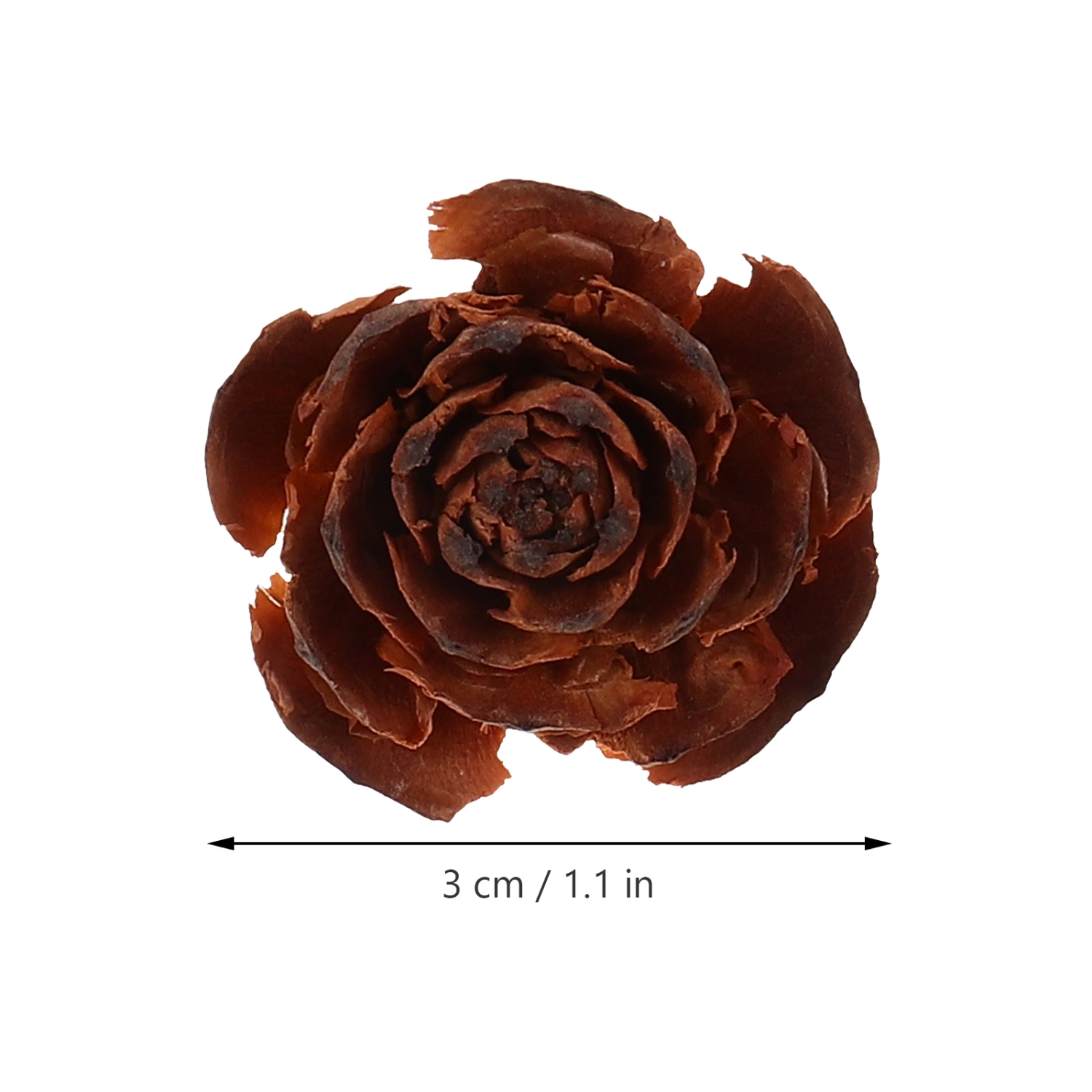 10pcs DIY Plant Samples Dry Flowers Material DIY Craft Material DIY Plant Specimen Decor