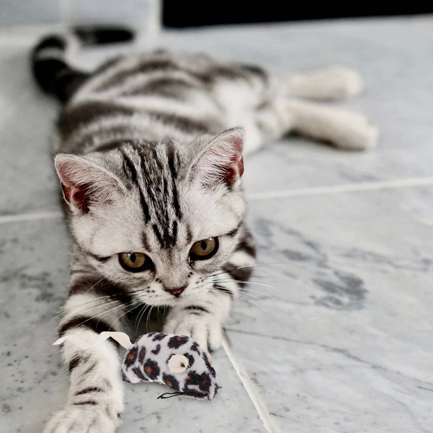 5Pcs Cat Mice Toys for Indoor Cats Funny Mouse Cat Toy Mice Cat Toy Plush Cat Toys
