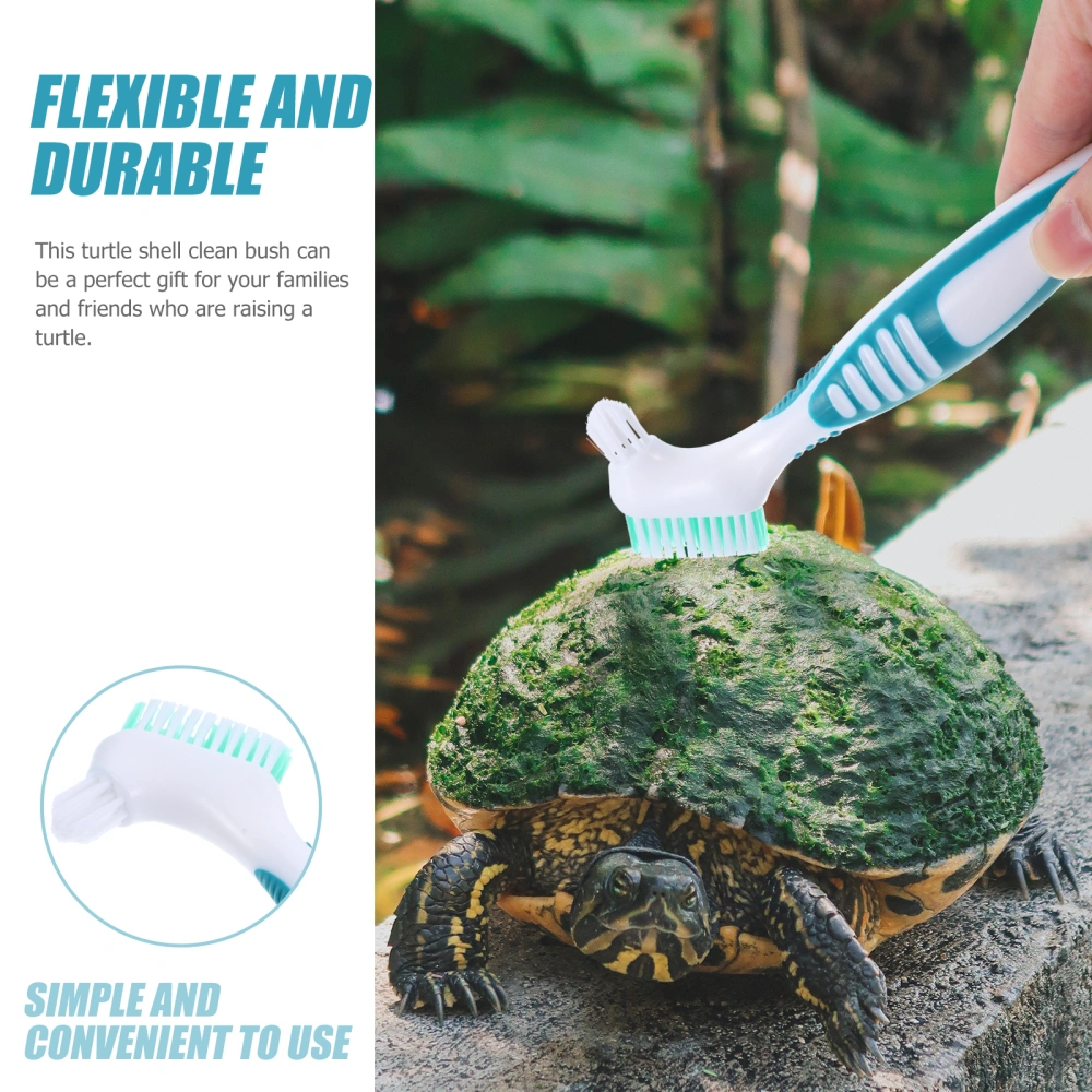 Turtle Shell Cleaning Brush Aquatic Tortoise Shell Cleaning Brush Turtle Shell Mud Dirt Remover Brush