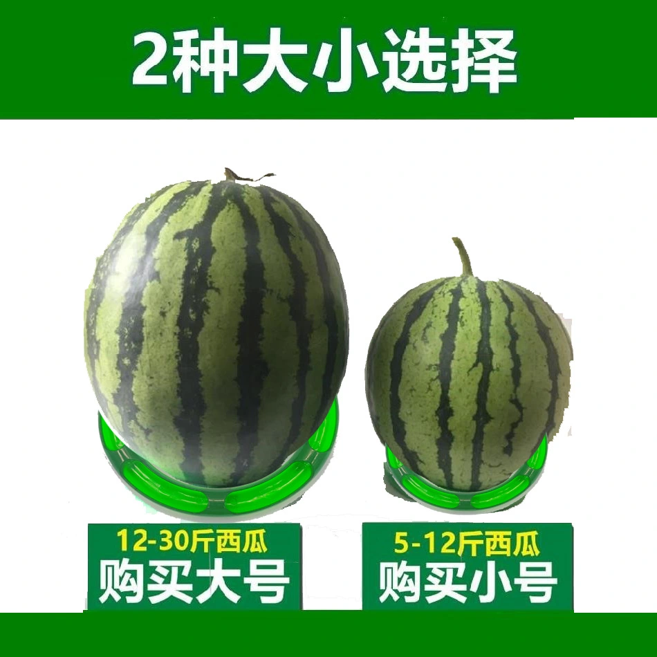 2pcs Watermelon Display Ring Fruits Showcase Base Fruits Store Use Watermelon Fixing Holder