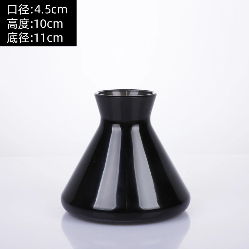 Nordic Aromatherapy Bottle Glass Decorative Aroma Bottles Dry Flower Holder for Home Office