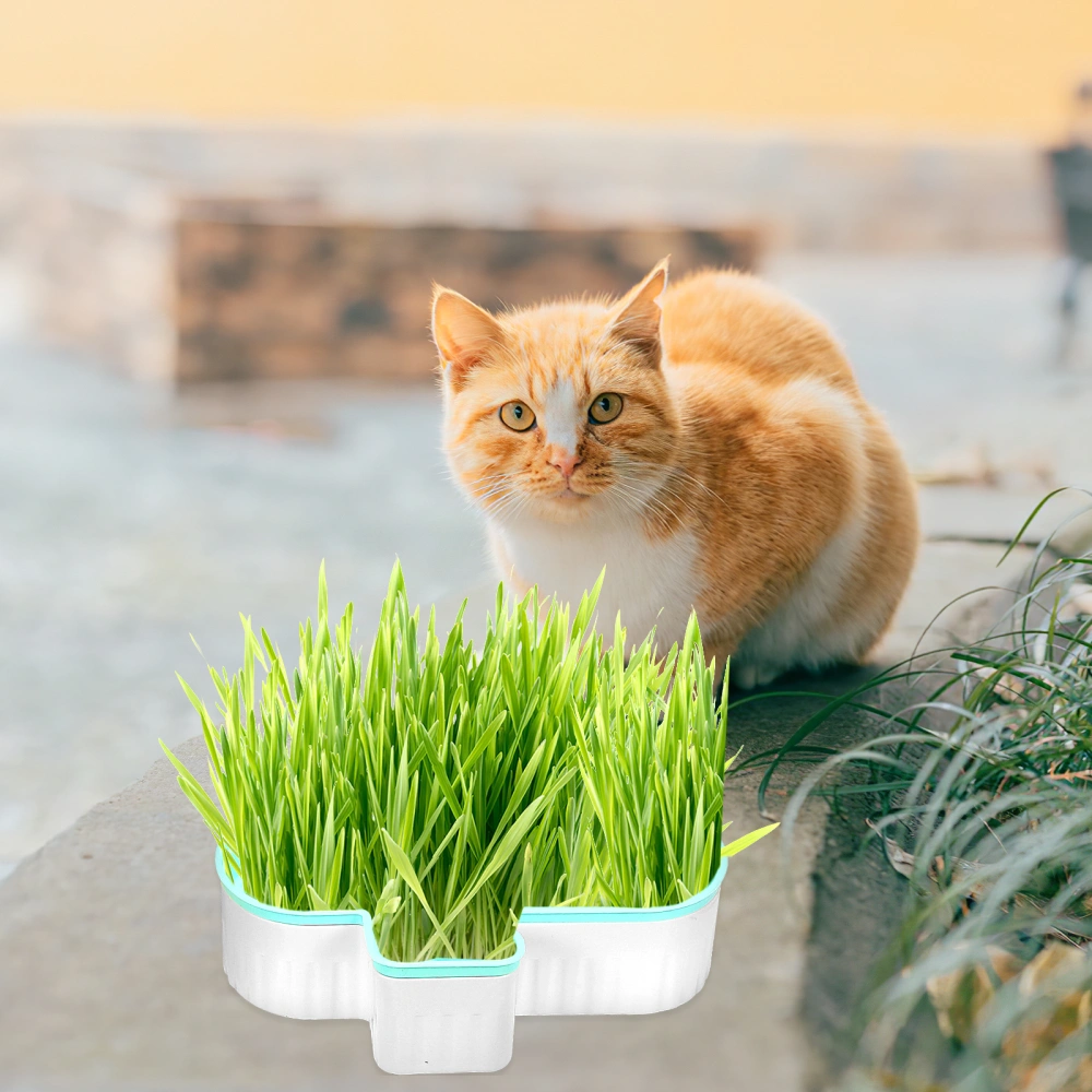 3Pcs Cat Grass Planter Plastic Soil Free Cat Plant Nursery Planting Box with Clear Water Spray Bottle