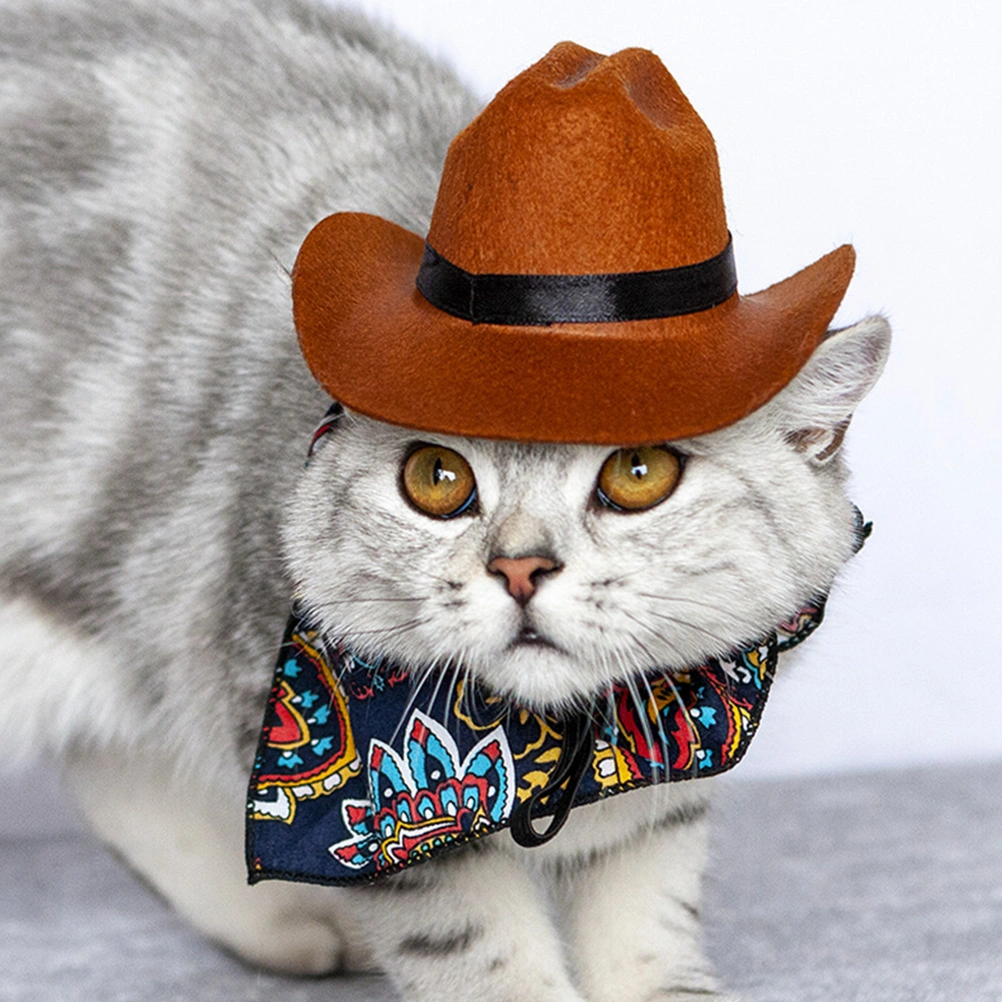 Non-woven Dog Hat Delicate Pet Hat Decor Decorative Puppy Cowboy Hat Kitten Accessory