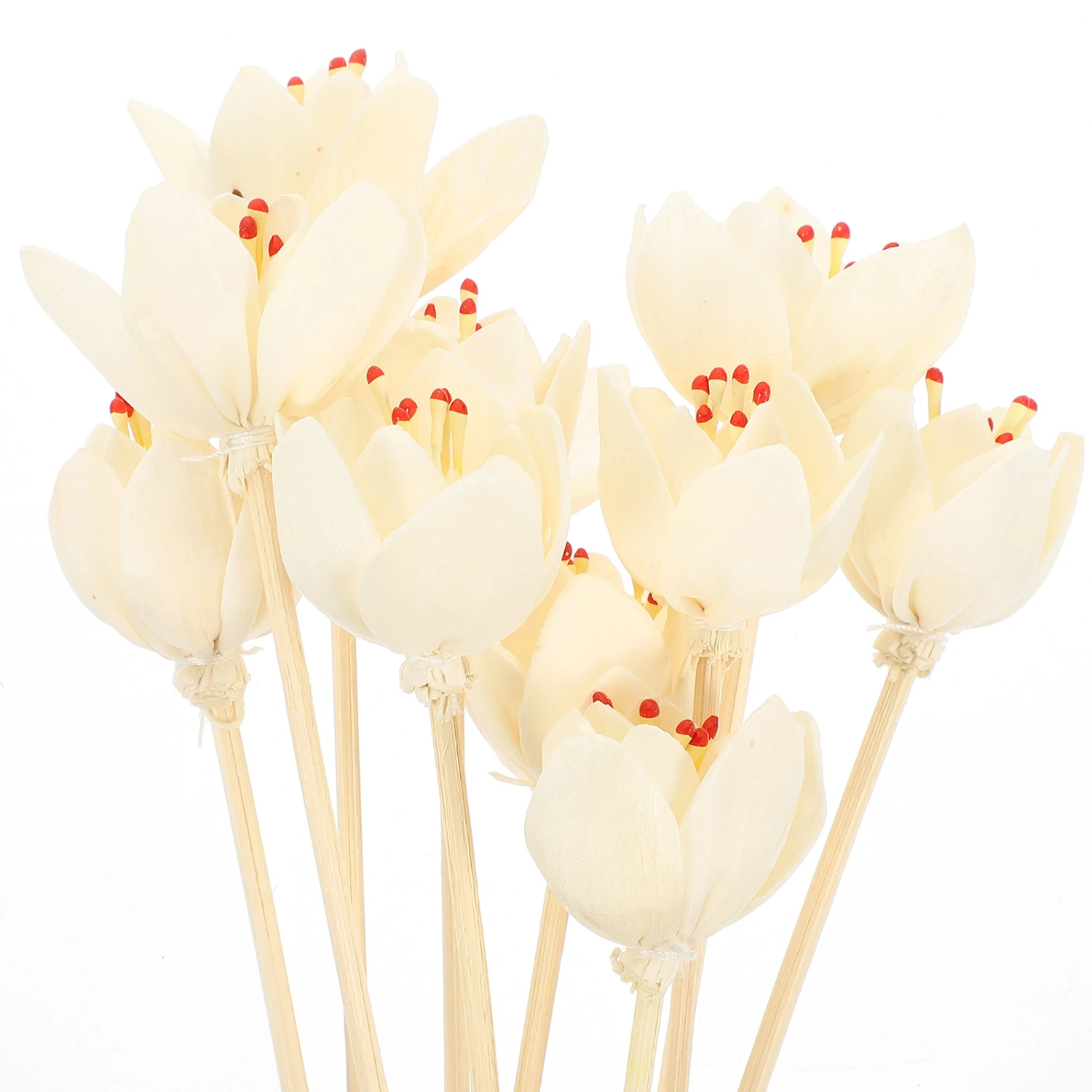 10pcs Flower Reed Diffuser Sticks Diffuser Refills Essential Oil Diffuser Stick for SPA