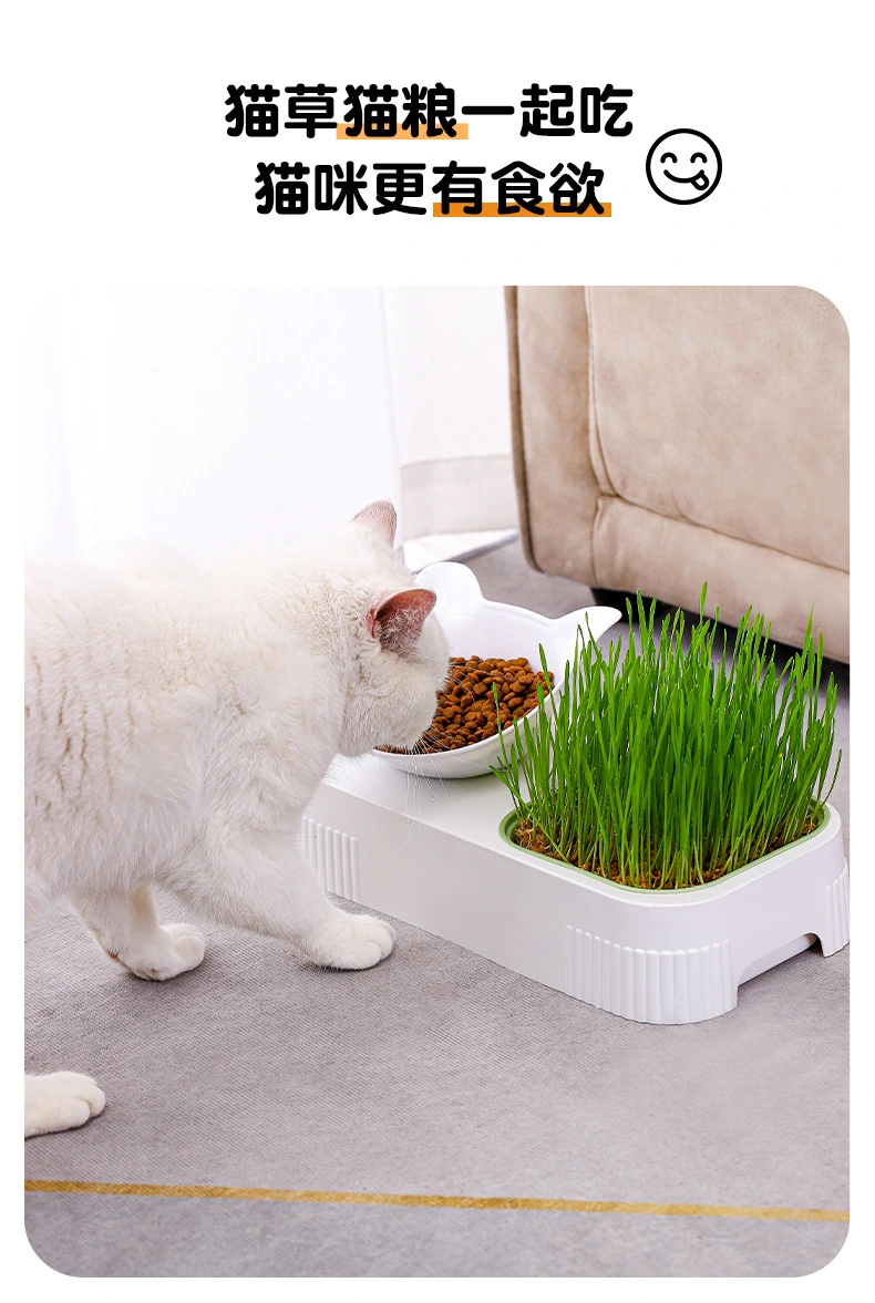 Pet Bowl Plastic Cat Grass Planter Cat Food Serving Bowl Cat Food Storage Container