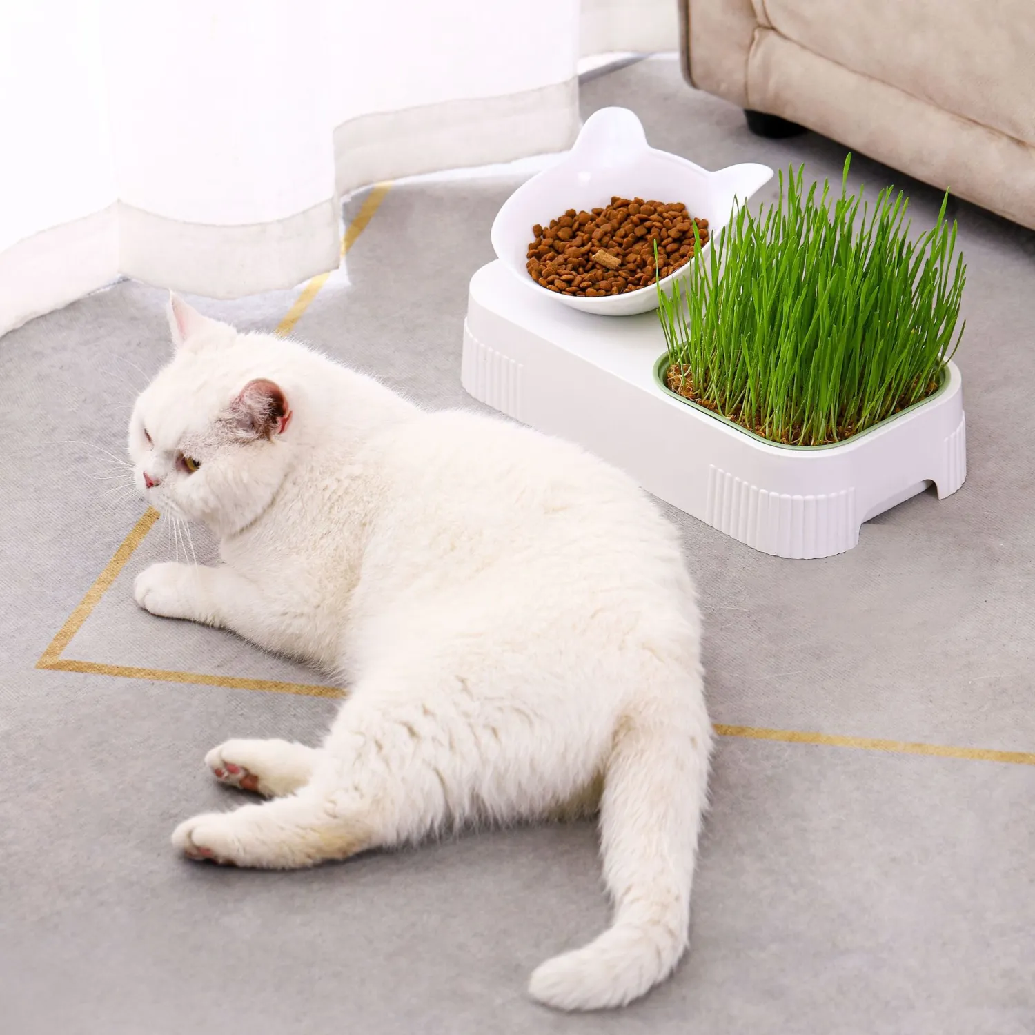 Pet Bowl Plastic Cat Grass Planter Cat Food Serving Bowl Cat Food Storage Container