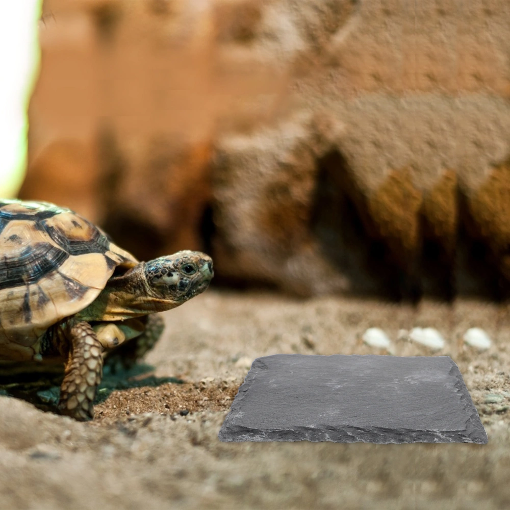 2pcs Reptile Basking Platform Tortoise Rock Pet Feeding Platform Turtle Bathing Rock