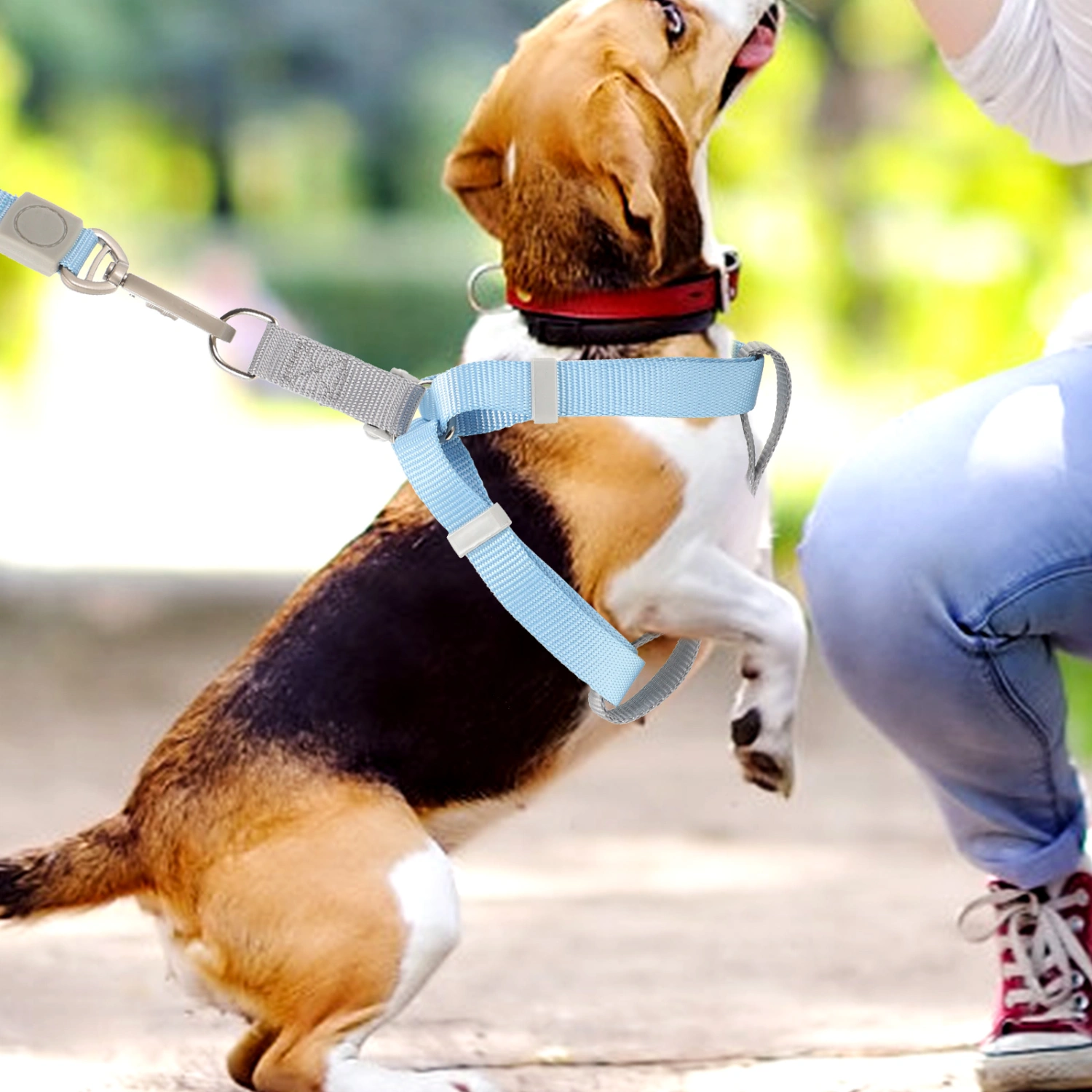 1 Set of Dog Harness and Leash Dog Leash Dog Harness Adjustable Dog Leash and Harness Set for Puppy