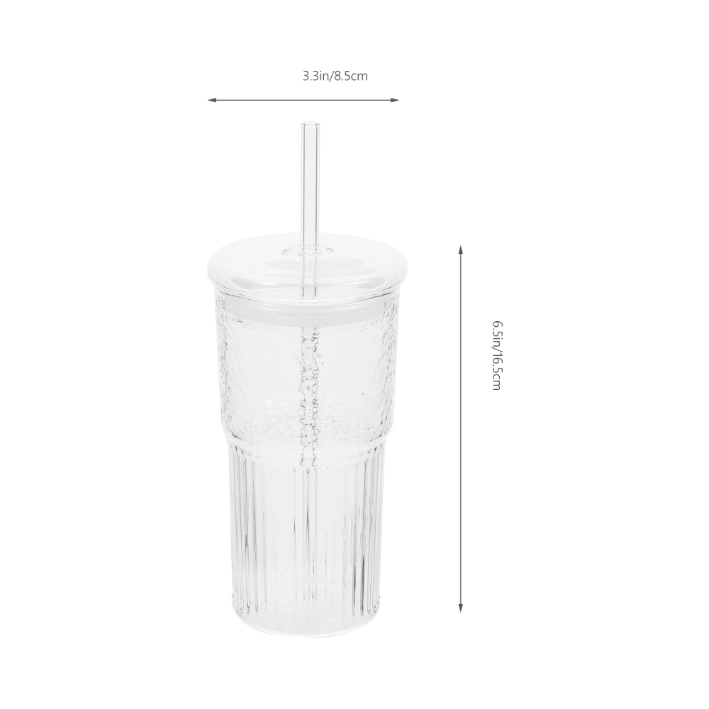 2Pcs Glass Tumbler Cups with Lid and Straw Water Coffee Drinking Bottle Juice Cup Beverage Cup